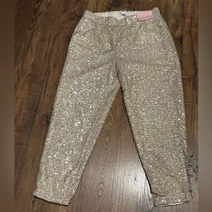 New Serra Sequin Jogger Pants